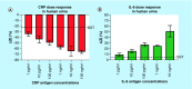 <b>Figure 4.</b>