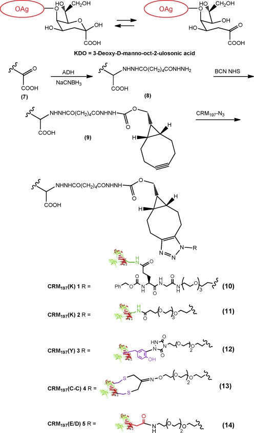 Scheme 4