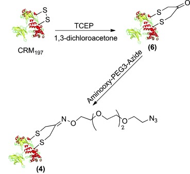 Scheme 3