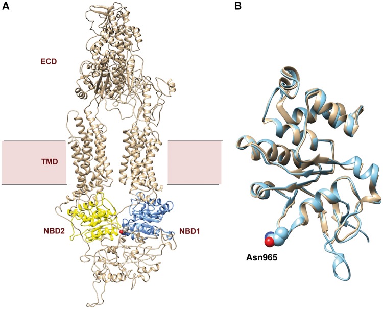 Figure 9.