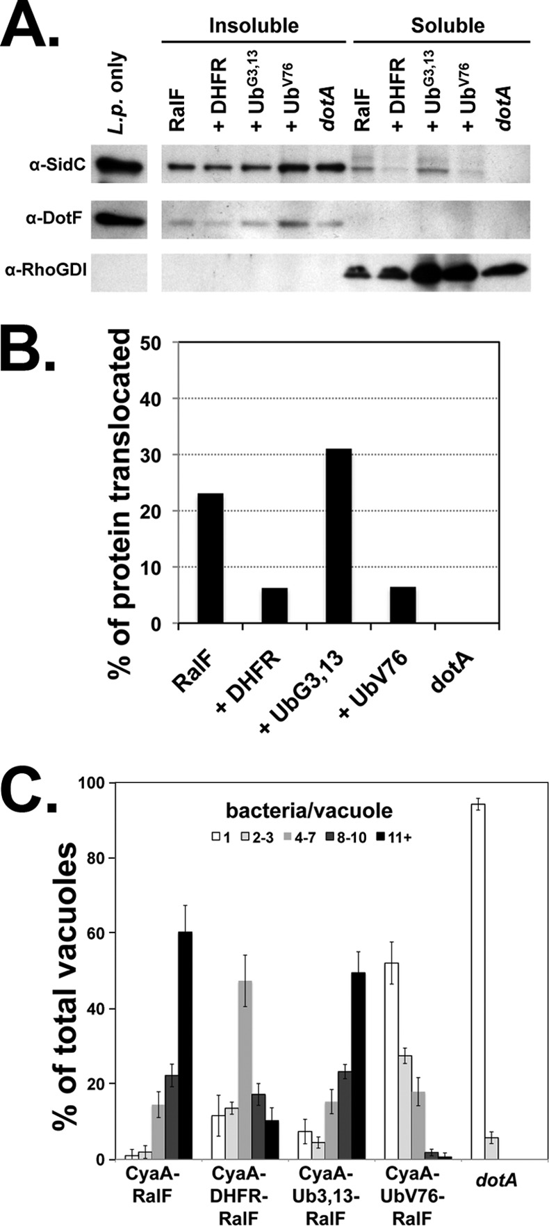 Fig 8