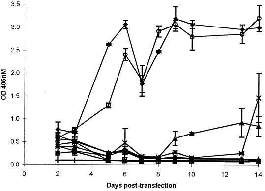 FIG. 3