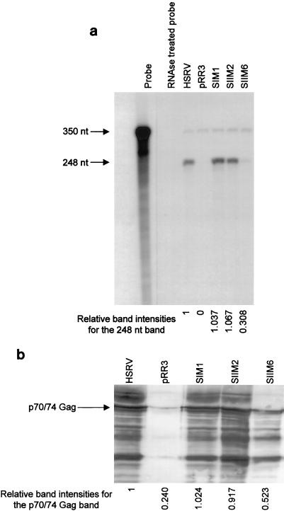 FIG. 5