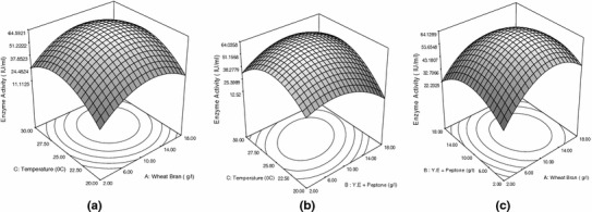 Fig. 4