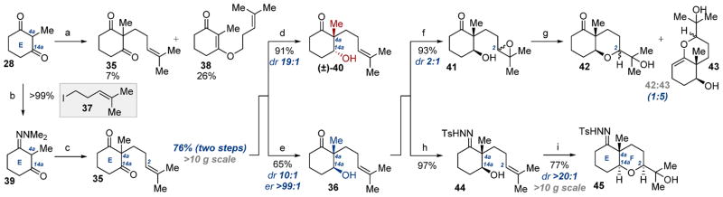 Scheme 6