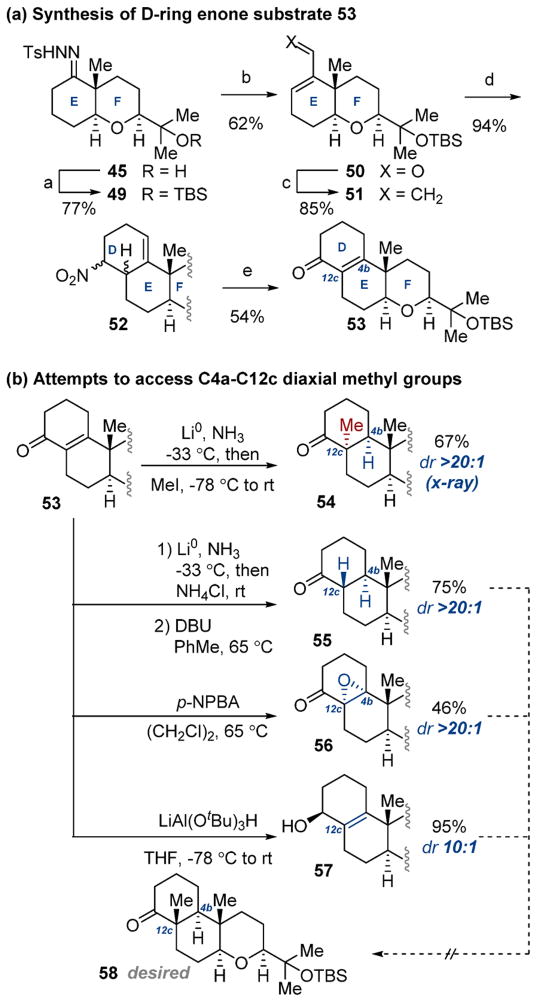 Scheme 8