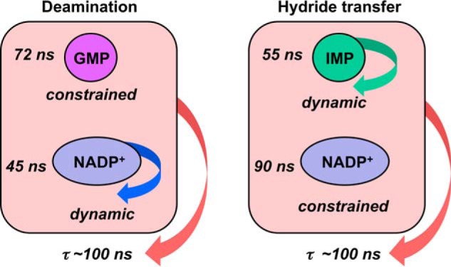 FIGURE 10.