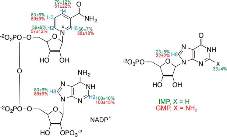 FIGURE 4.