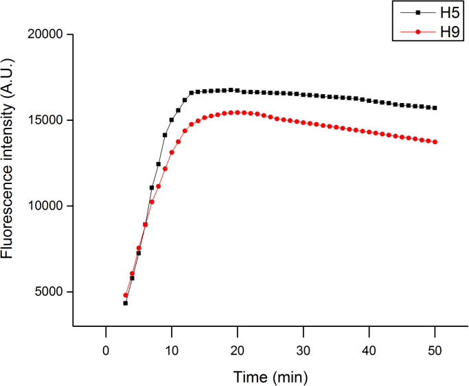 Fig. 3