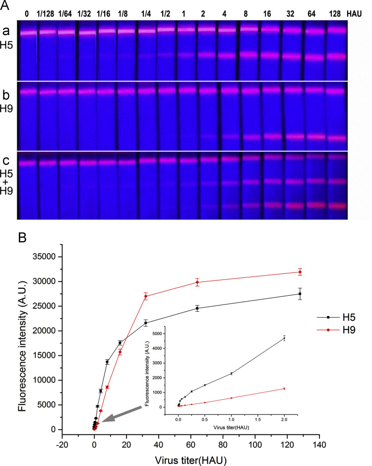 Fig.4