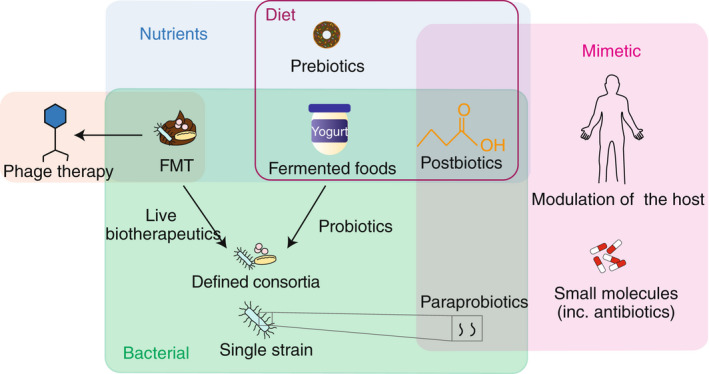 FIGURE 3