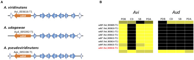 Figure 7