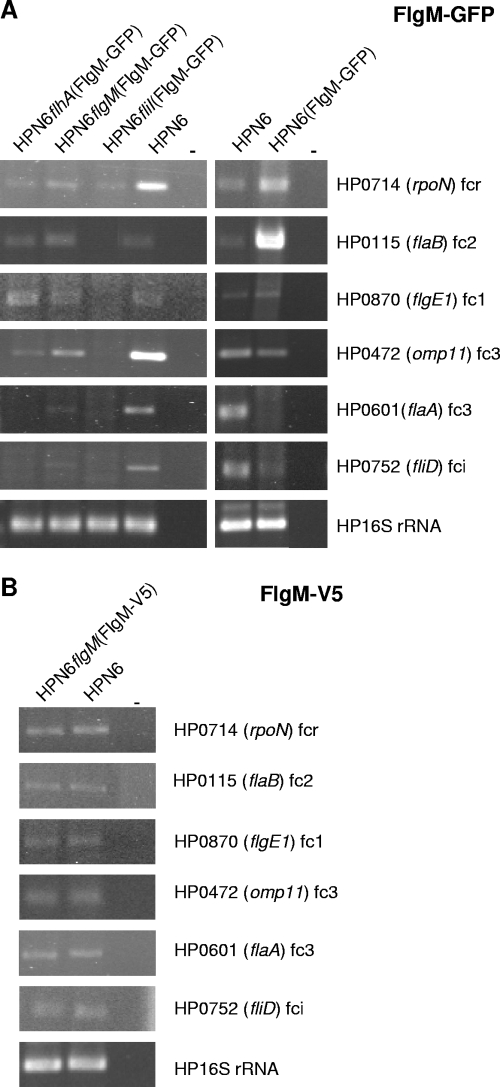 FIG. 4.