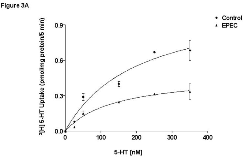 Enteropathogenic E coli Infection Inhibits Intestinal Serotonin ...