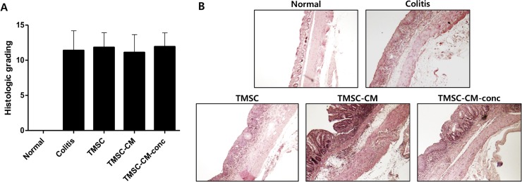 Fig 7