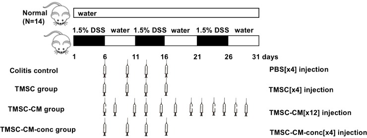 Fig 1