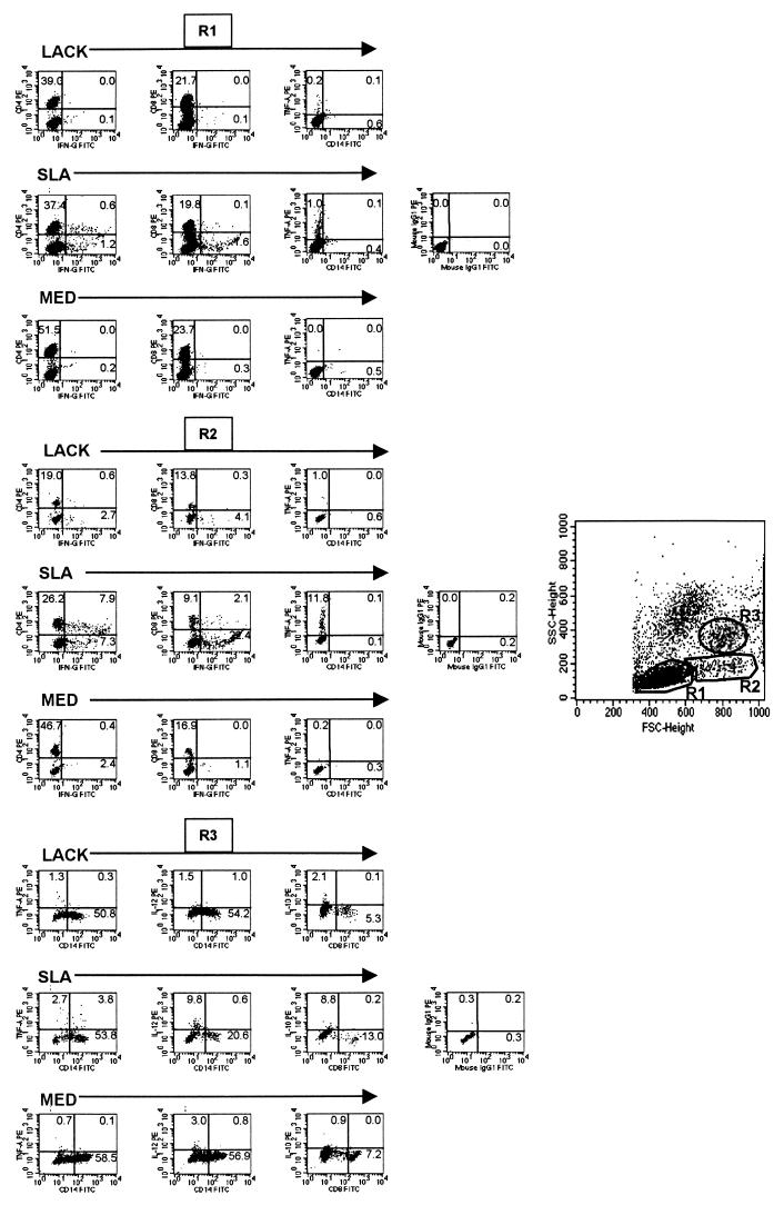 FIG. 1