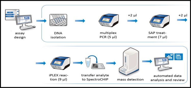 Fig 2