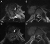 Fig 4