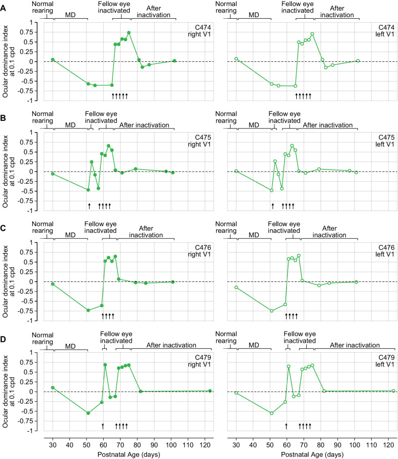 Figure 4—figure supplement 2.