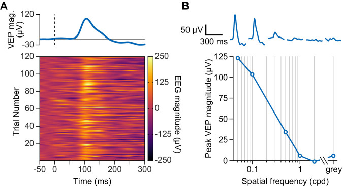 Figure 4—figure supplement 1.