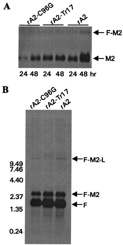 FIG. 4