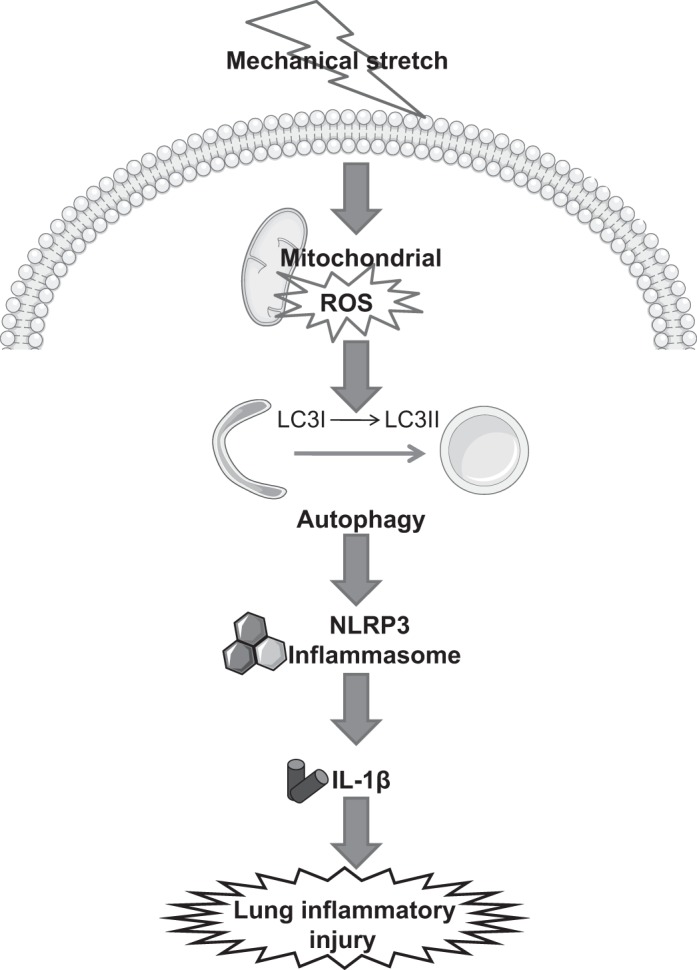 Fig. 10.