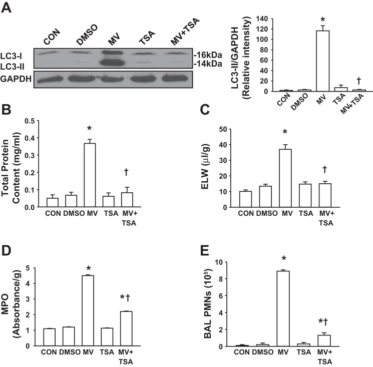 Fig. 9.