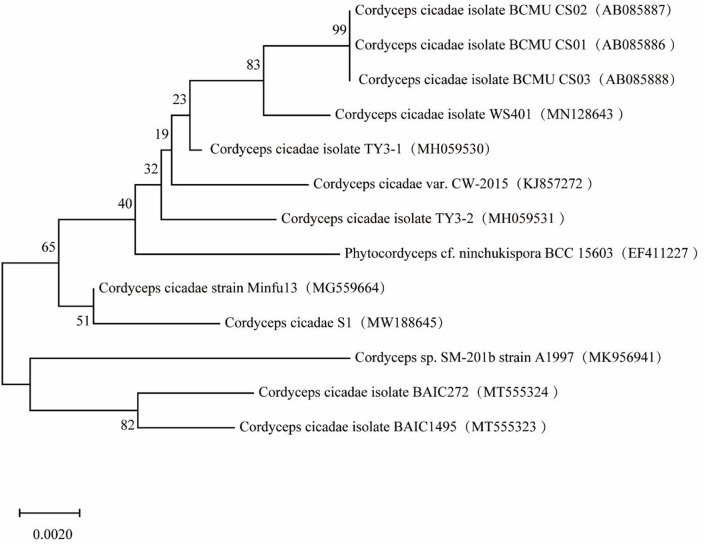 Figure 2