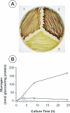 FIG. 1.