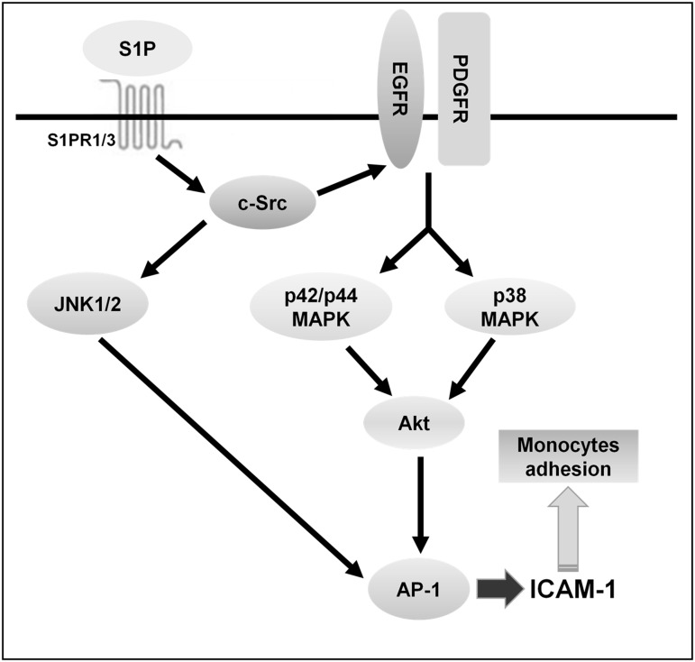 Fig 10