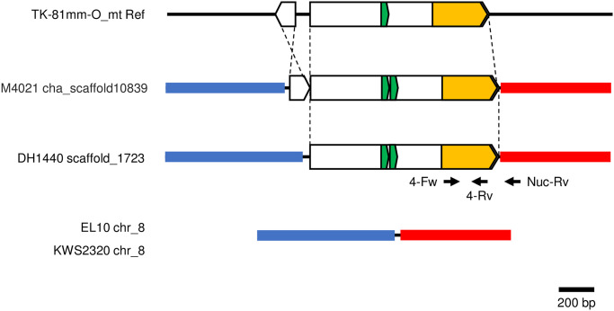 Fig 2