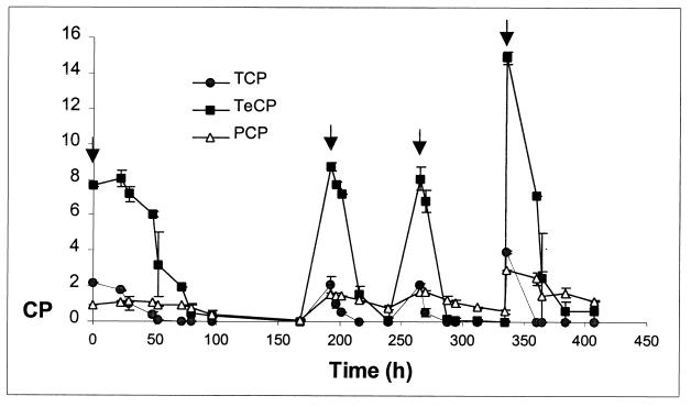 FIG. 5.