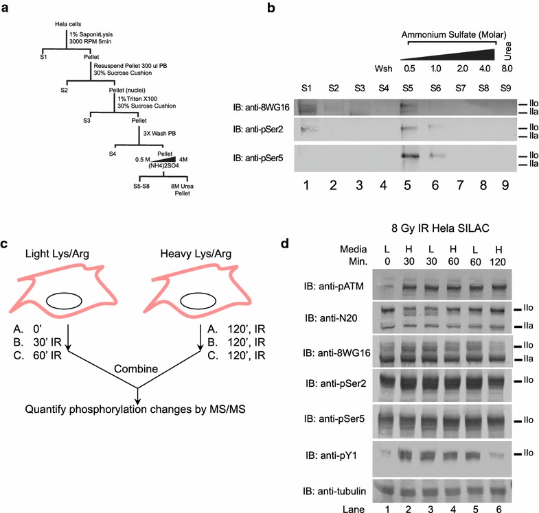 Fig. 6