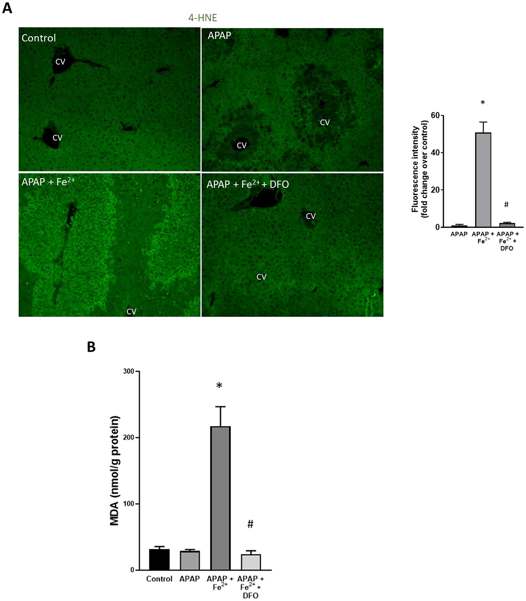 Fig. 7.