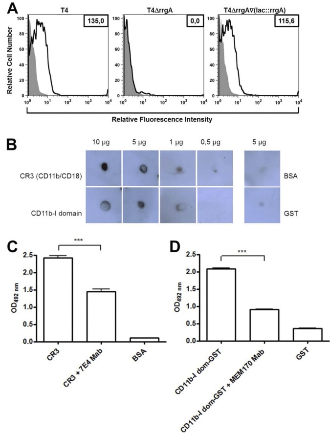 FIG 3 