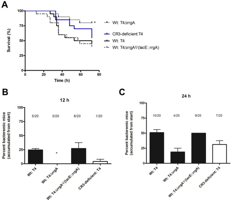 FIG 4 