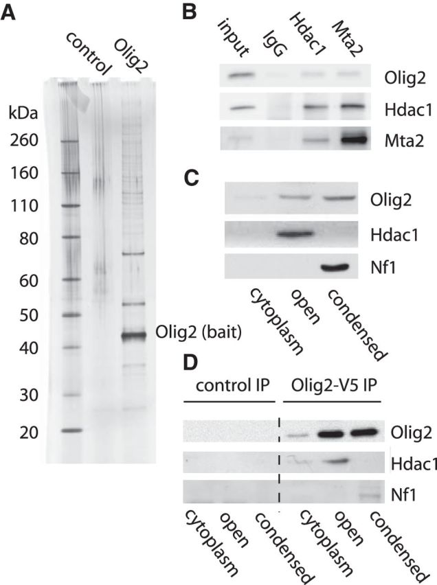 Figure 7.