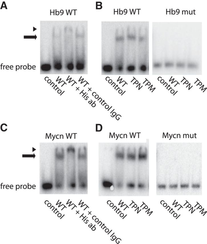 Figure 5.