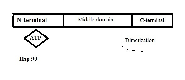 [Table/Fig-1]: