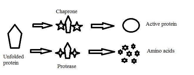 [Table/Fig-3]: