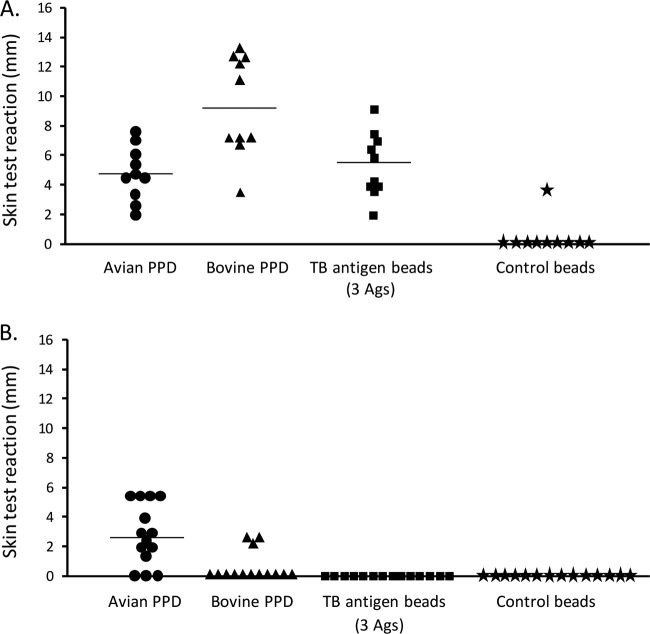 FIG 6