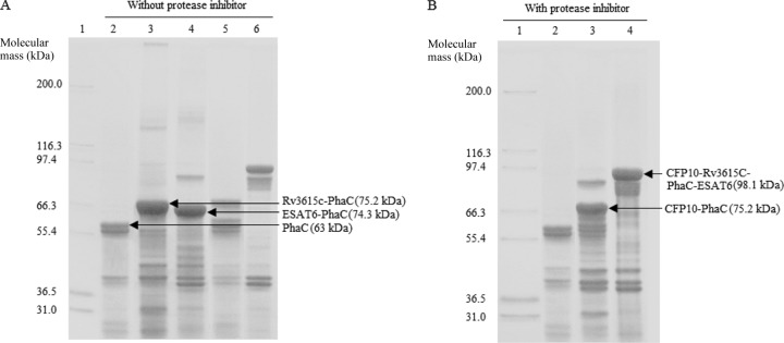 FIG 3