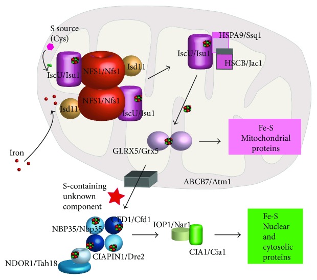 Figure 2