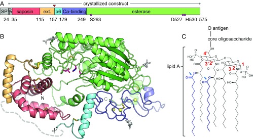 Fig. 1.