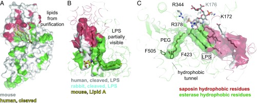 Fig. 4.