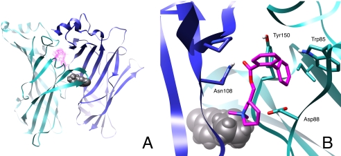 Fig. 10.