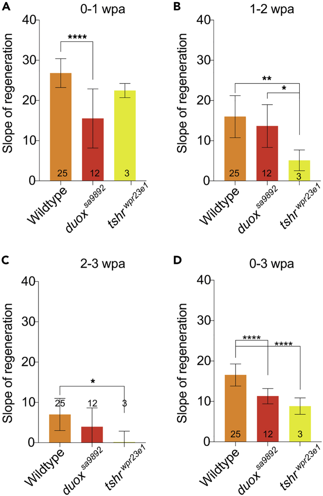 Figure 4