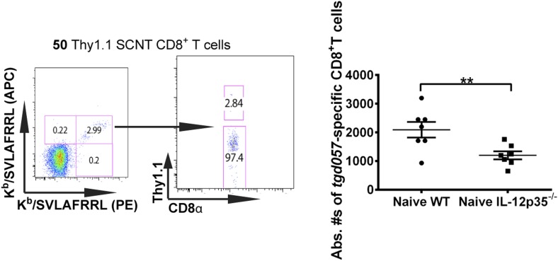 Figure 1—figure supplement 2.