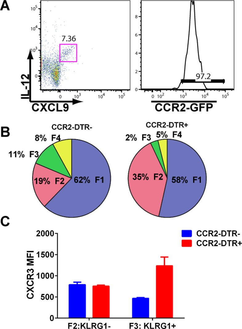 Figure 7—figure supplement 1.